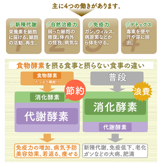 主に4つの働きがあります