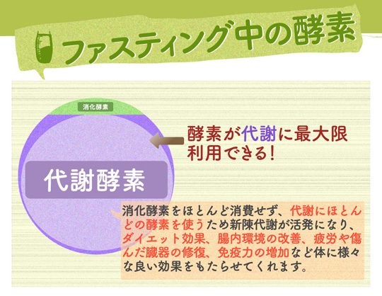 ファスティング中の酵素