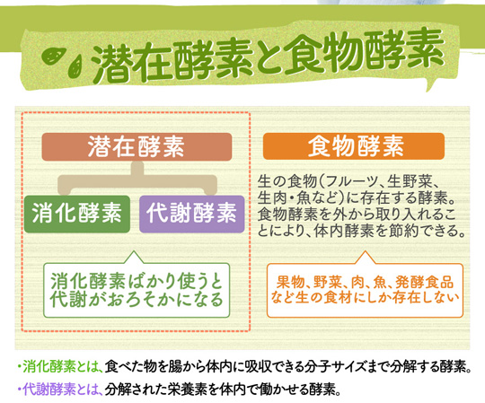 潜在酵素と食物酵素